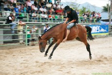 monta-potro-cerrero