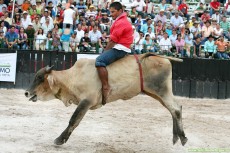 monta-toro-pag-127