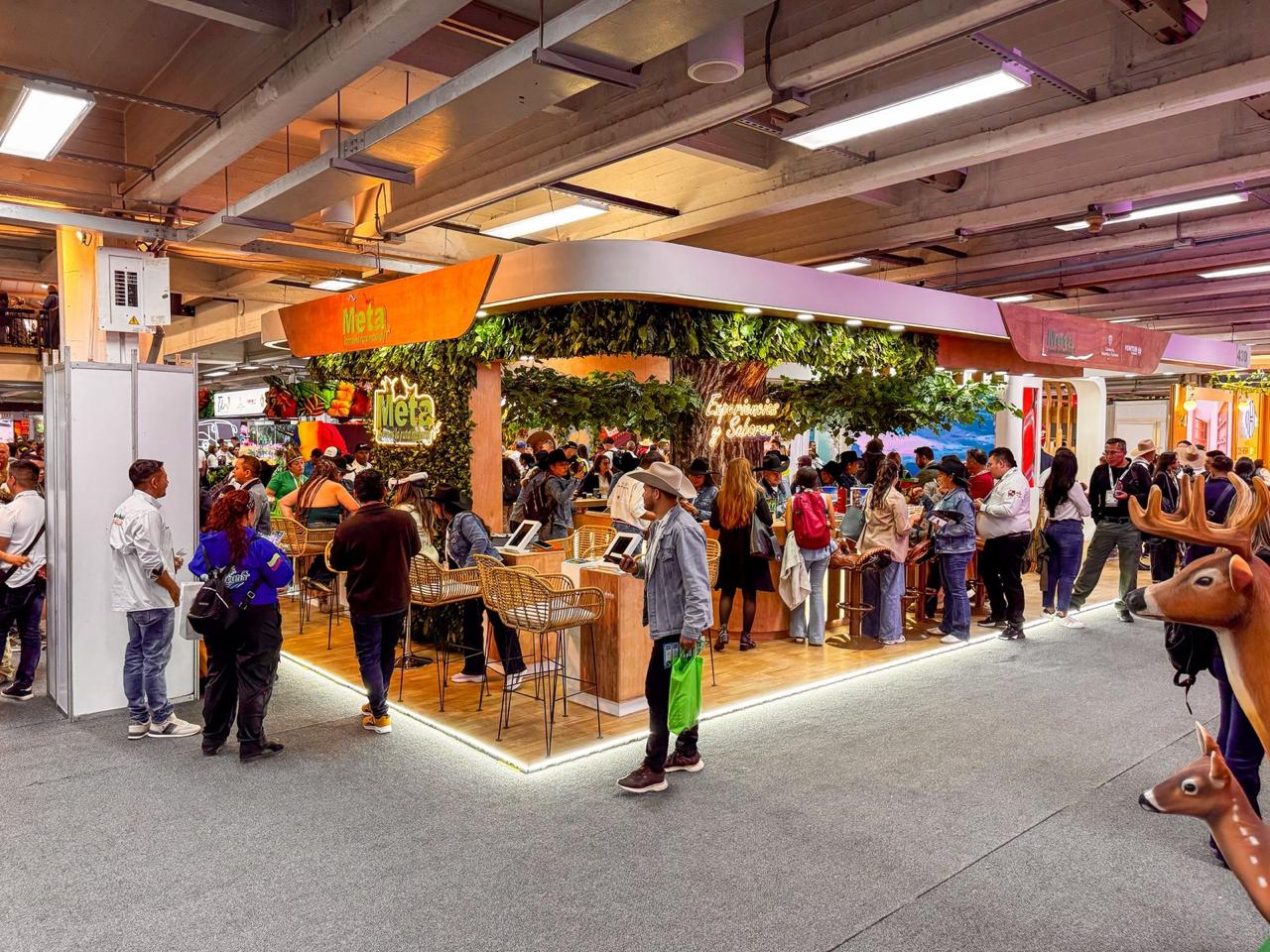 WhatsApp Image 2026 03 02 at 2.01.48 PM