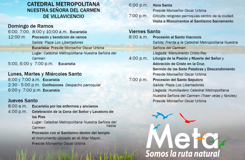 programacion catedral
